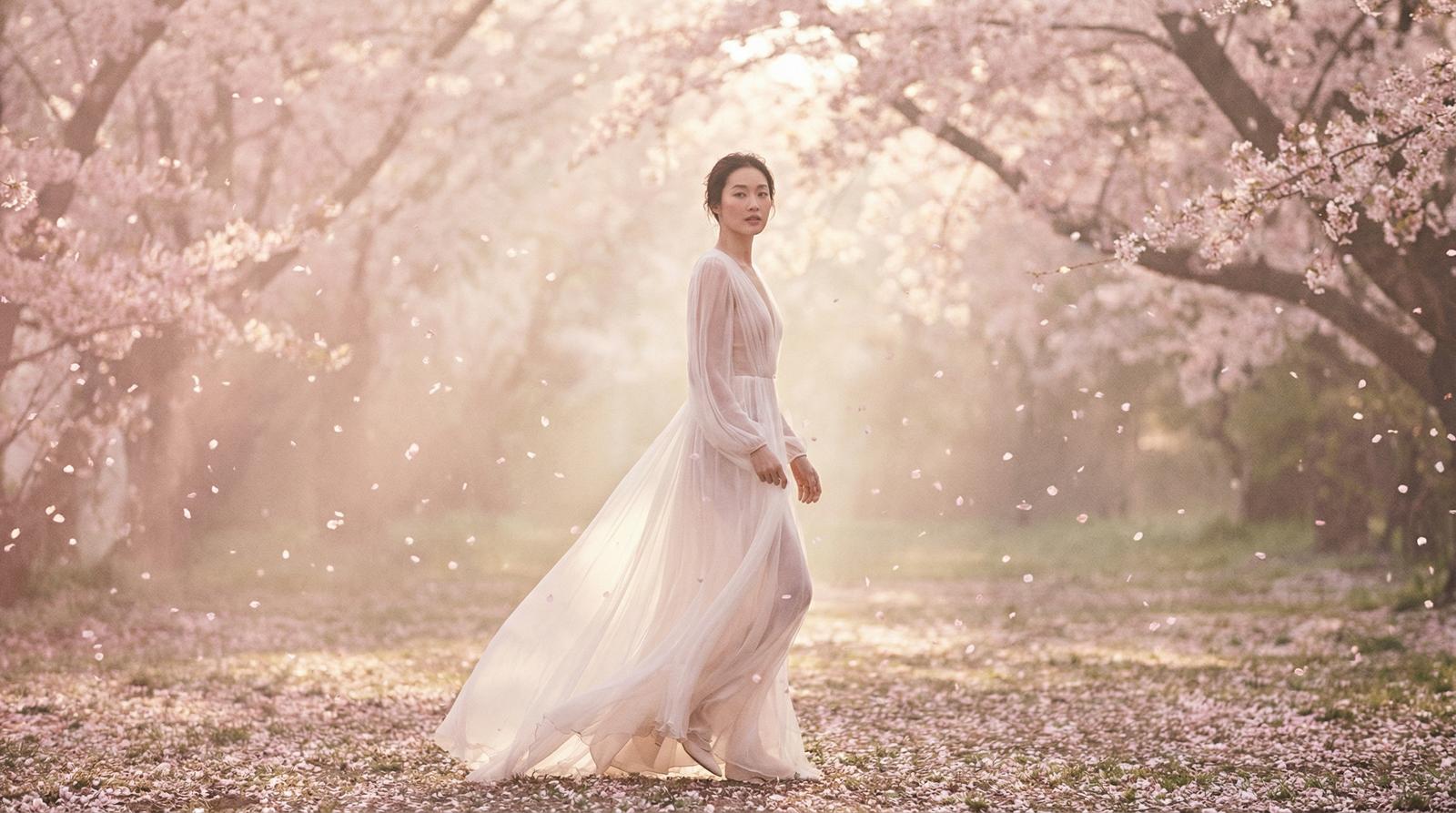 里番网樱花季唯美视频